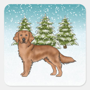 Red Golden Retriever Dog Blue Snowy Weihnachten Quadratischer Aufkleber