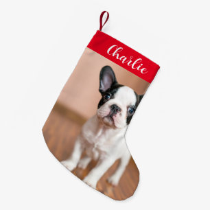Red Green Dog Foto Personalisierter Name Kleiner Weihnachtsstrumpf