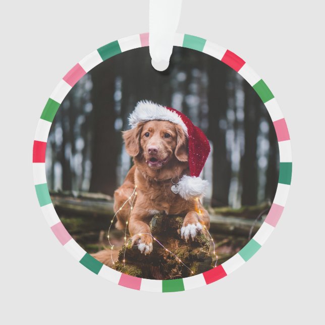 Red Green Sternexplosion Stripes Dog Weihnachten Ornament (Vorderseite)