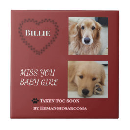 Red Halo Pet Remembrance Fliese