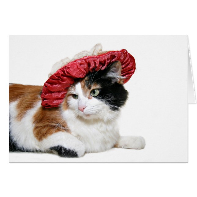 Red Hat Kitty (Vorderseite (Horizontal))