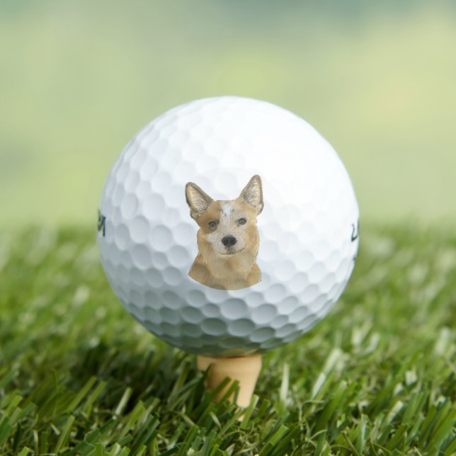 Red Heeler Australian Cattledog Golfball (Insitu T-Shirt)