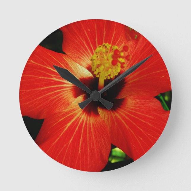 Red Hibiscus Runde Wanduhr (Vorderseite)