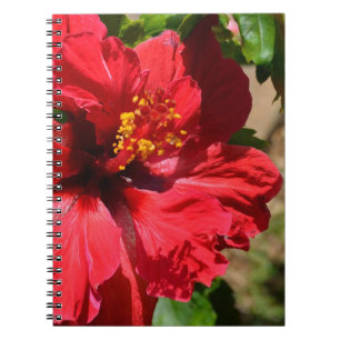 Red Hibisken Notebook Notizblock