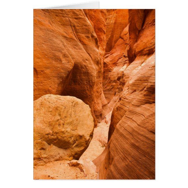 Red Hollow Slot Canyon (Vorne)
