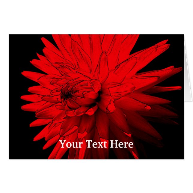 Red Hot Dahlia Flora Foto-Card (Vorderseite (Horizontal))