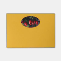 Red Hot Garden Salsa Chili Paprikaschoten.