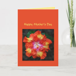 Red Hot Hibiskus Muttertagskarte Karte