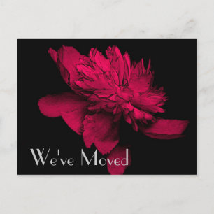 Red Hot Peony New Address Floral Art Postkarte