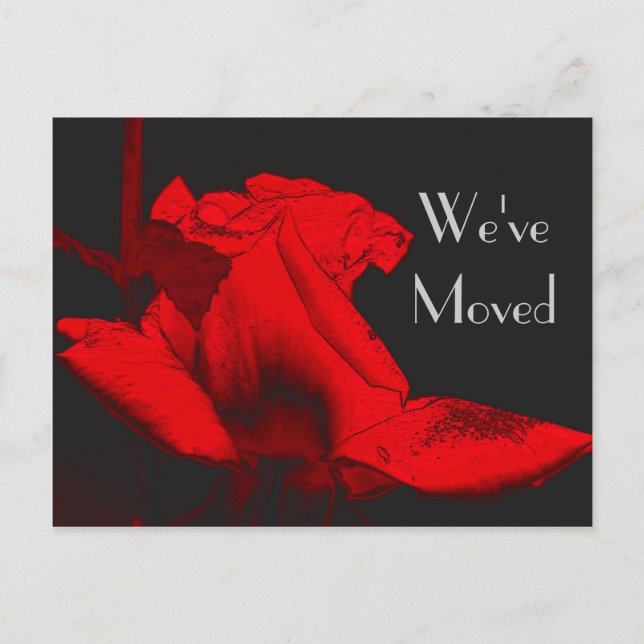 Red Hot Rosebud Nouvelle adresse Floral Art Carte  (Devant)