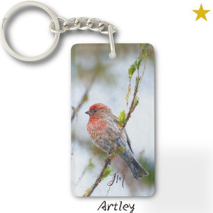 Red House Finch Peinture d'oiseaux