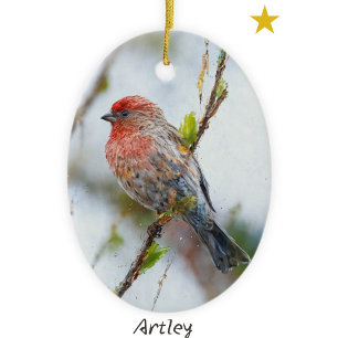 Red House Finch Vogel Malerei Custom Year Holiday Keramik Ornament