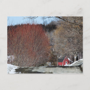 Red House on Lane Postkarte