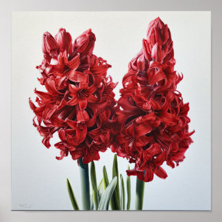 Red Hyacinth Blumen Art Print Poster