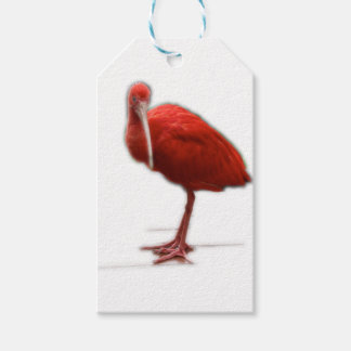 Red Ibis geben dies dem Vogelliebhaber in deinem L Geschenkanhänger
