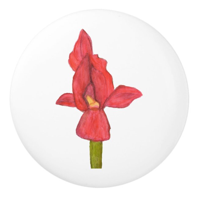 Red Iris Drawer Pull Keramikknauf (Vorderseite)