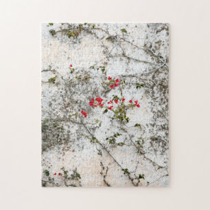 Red Ivy on White Wall