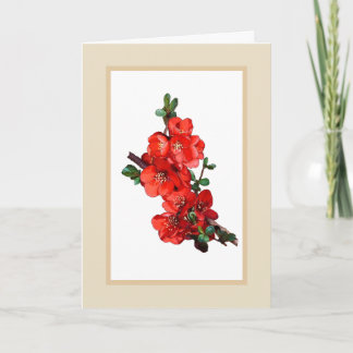 Red Japanese Quince Blossom Illustration beige Karte