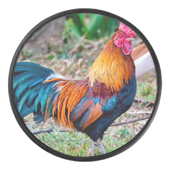 Red junglefowl eishockey puck (Vorderseite)
