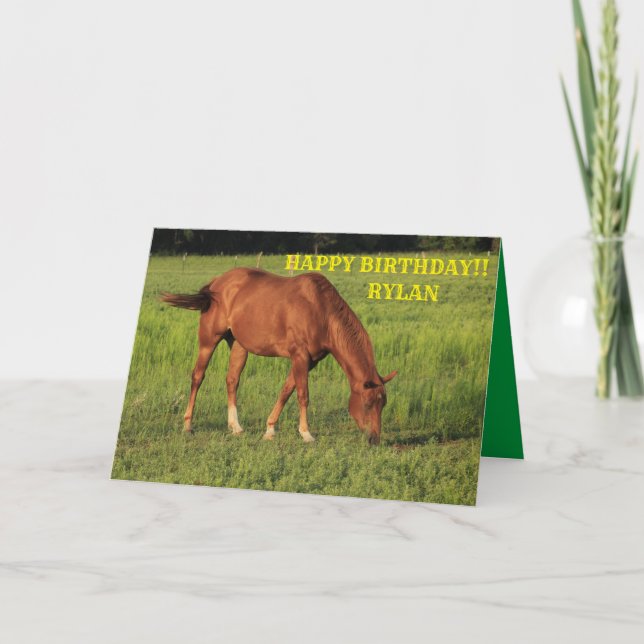 Red Kansas Country Horse Carte de voeux Anniversai (Devant)