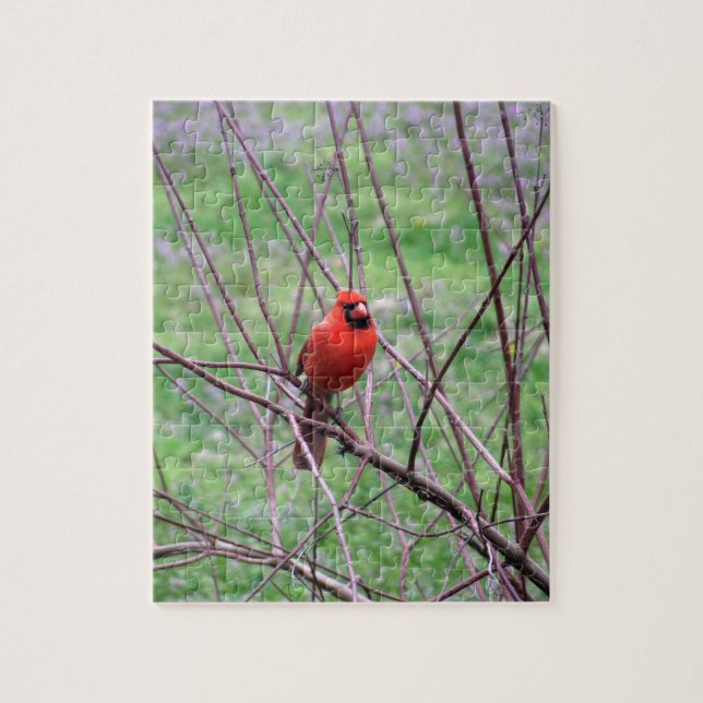 Red Kardinal Bird auf Zweig (Vertikal)