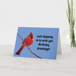 Red Kardinal Bird Blue Sky Geburtstagskarte Karte