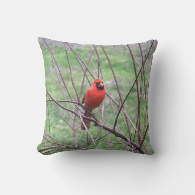 Red Kardinal Bird Kissen Für Draußen (Vorderseite)