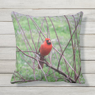Red Kardinal Bird Kissen Für Draußen