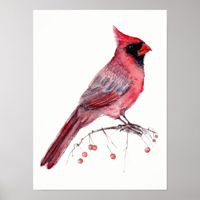 Red Kardinal Bird Poster (Vorne)