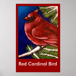 RED KARDINAL BIRD Poster