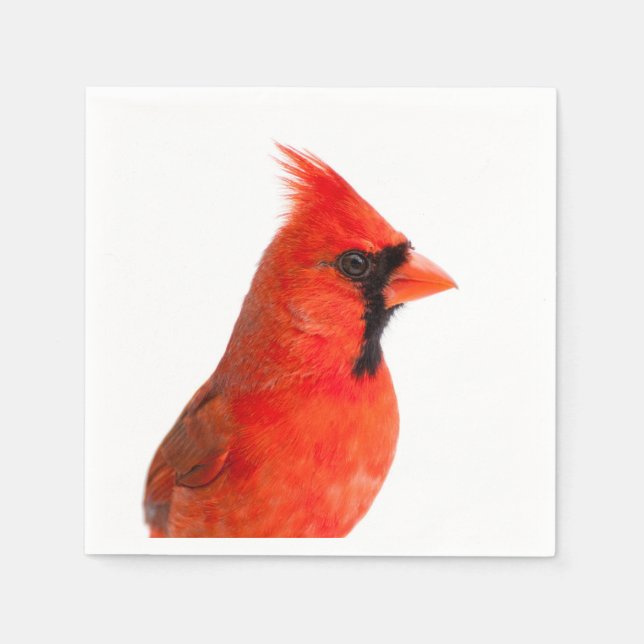 Red Kardinal Bird Serviette (Vorderseite)