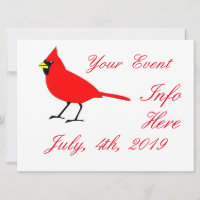Red Kardinal Bird Thunder_Cove