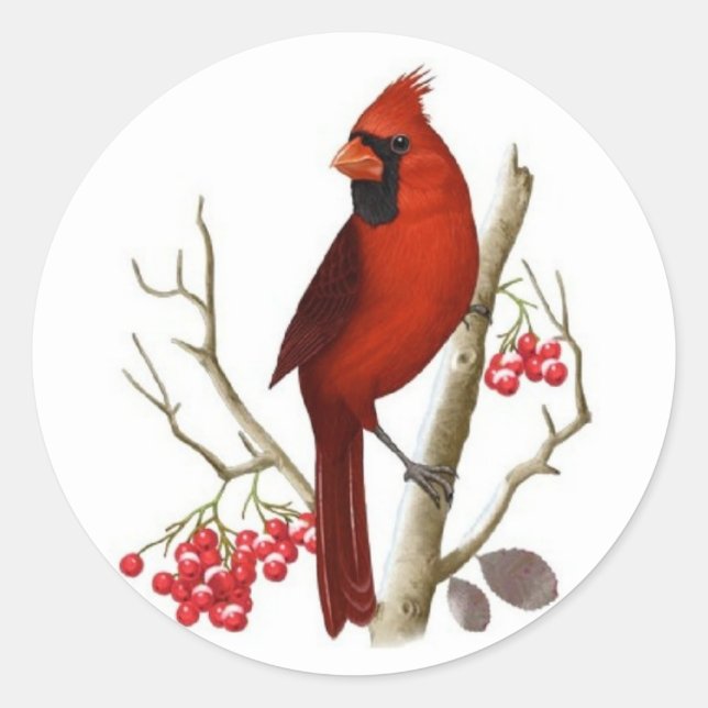Red Kardinal Bird Weihnachten Runder Aufkleber (Vorderseite)