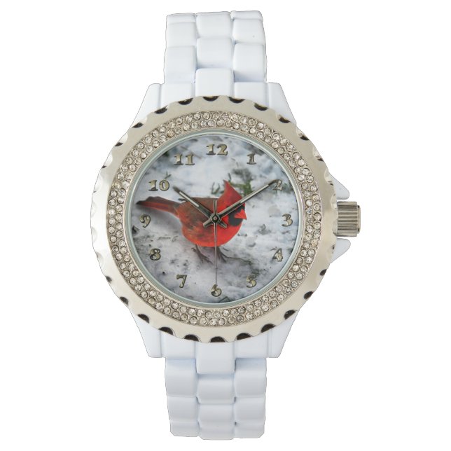 Red Kardinal Feathers and Plumage Armbanduhr (Vorderseite)