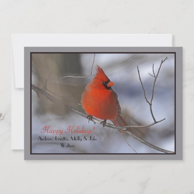 Red Kardinal Holiday Card Feiertagskarte (Vorderseite)