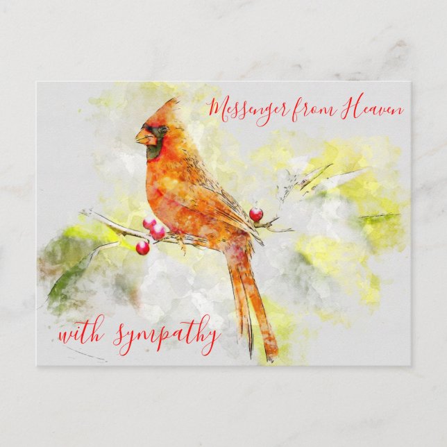 Red Kardinal Messenger von Watercolor aus dem Himm Postkarte (Vorderseite)