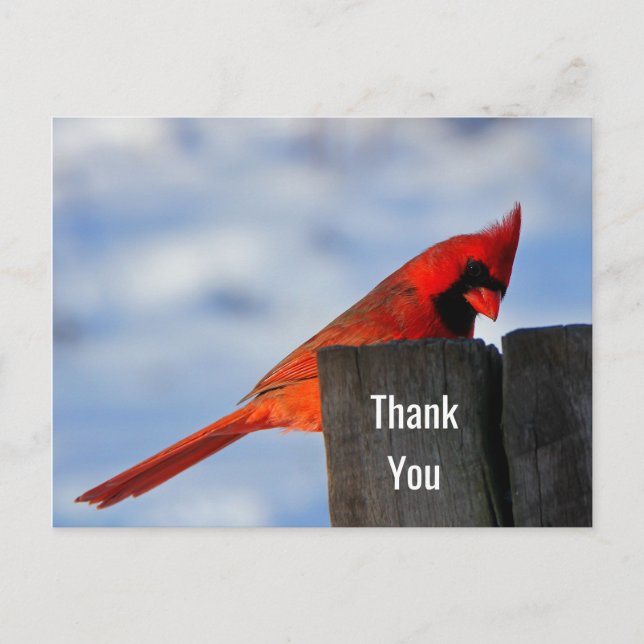Red Kardinal on Wooden Stump Vielen Dank Postkarte (Vorderseite)