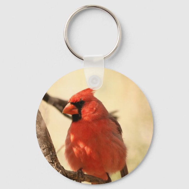 Red Kardinal Schlüsselanhänger (Vorderseite)