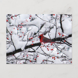 Red Kardinal Snow Tree Foto Weihnachten Postkarte