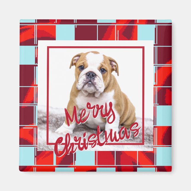 Red Kariert Bulldog Dog Foto Frohe Weihnachten Magnet (Vorne)