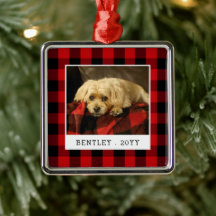 Red Kariert Pet Foto Holiday