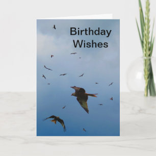 Red Kites - buzzards - carte d'anniversaire