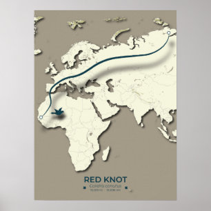 Red Knot Migration Map - Minimalistischer Vintager Poster