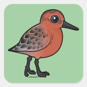 Red Knot Quadratischer Aufkleber