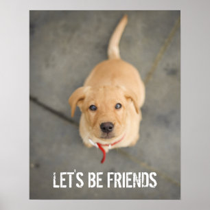 Red Labrador Puppy Poster
