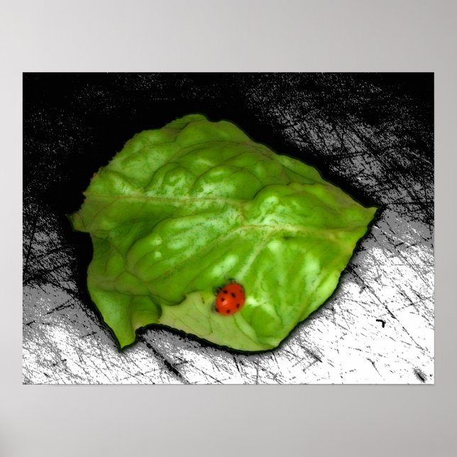 Red Ladybug über die Illustration des grünen Leaf Poster (Vorne)