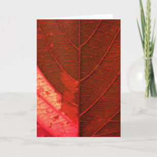 Red Leaf Feiertagskarte