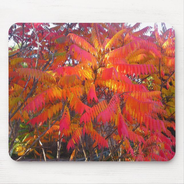 Red Leaf Tree Mousepad (Vorne)