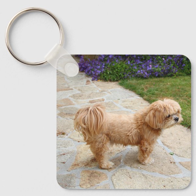 Red Lhasa Apso Hund Schlüsselanhänger (Vorderseite)