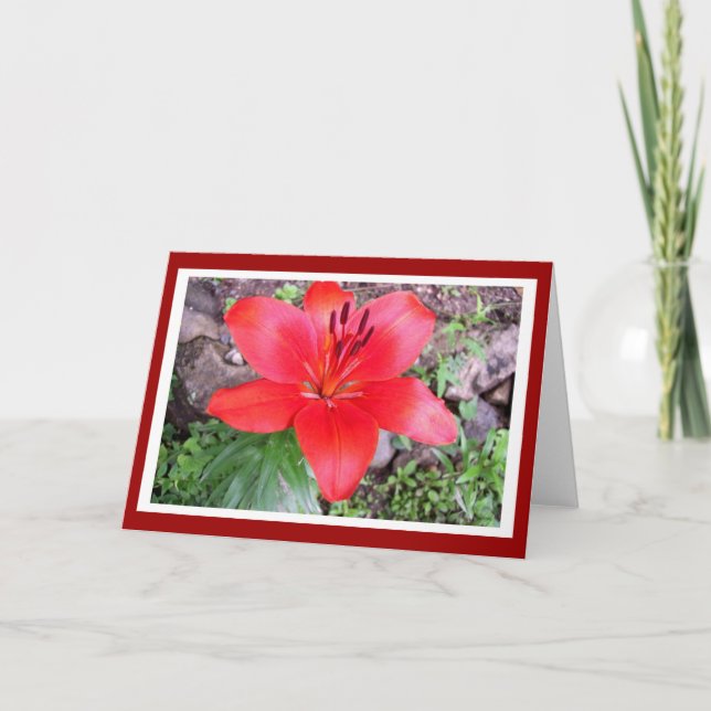 Red Lilie 2 Karte (Vorderseite)